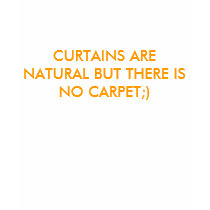 CURTAINS ARE NATURAL BUT THERE IS NO CARPET;) t-shirts