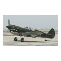 Curtis P40 posters