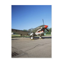 Curtiss P-40 Warhawk, at Minnesota CAF Air Show