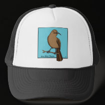 CURVE BILLED THRASHER hats by GRACEVISIONS CURVE BILLED THRASHER hats