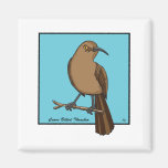 CURVE BILLED THRASHER REFRIGERATOR MAGNET