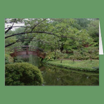 Curved Asian Bridge cards