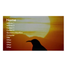 Curved bill thrasher on saguaro, Sonoran Desert, U Business Card