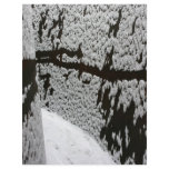 Curved snow, Basel, Switzerland Custom Flyer