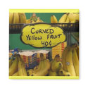 Curved Yellow Fruit magnets by Diamond_Designs Curved Yellow Fruit magnets