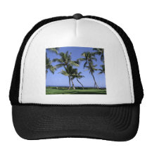 Curvy Palm Trees and Ocean Trucker Hat
