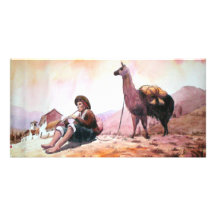 Cusco Peru Llama Picture Photo Card