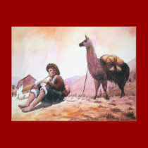 Cusco Peru Llama Picture postcards