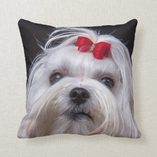 maltese dog pillow