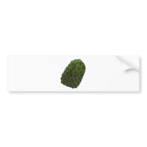 Custard (inside an) Apple Bumper Sticker