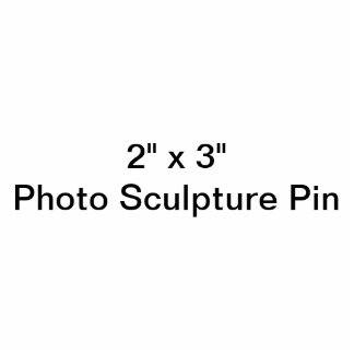 2"x3" Pin