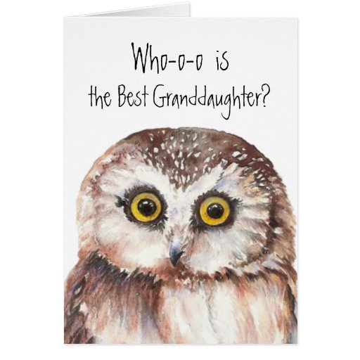 Custom Best Granddaughter Cute Owl Humor Greeting Cards