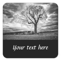 Custom Black and white tree stickers