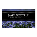 Custom Business Cards For Photographers business cards