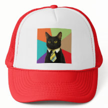 Pictured: My business hat.
