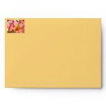 Custom Color Envelopes Roses Red White Floral