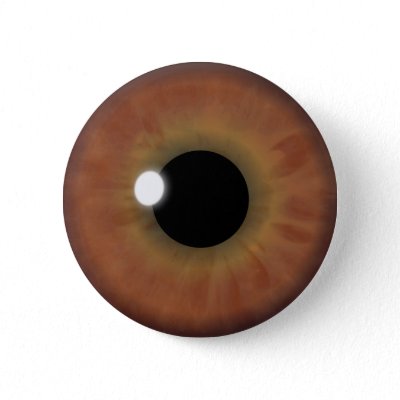 brown iris eye