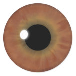 Custom Cool Brown Eye Iris Round Stickers