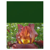Custom Designer green Flyers paper Iris Flowers