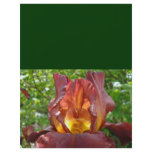 Custom Designer green Flyers paper Iris Flowers