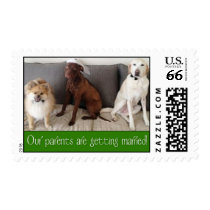 Custom Dog Postage