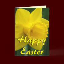 Custom Easter Card Personalized Daffodil Cards cards