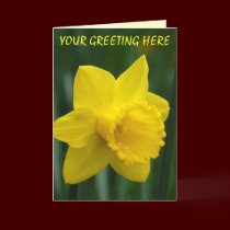 Custom Flower Card Personalized Daffodil Cards cards