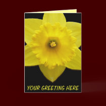 Custom Flower Card Personalized Daffodil Cards cards