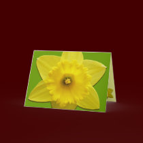 Custom Flower Card Personalized Daffodil Cards cards
