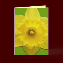 Custom Flower Card Personalized Daffodil Cards cards