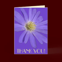 Custom Flower Cards Daisy Custom Greeting Card cards