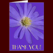 Custom Flower Cards Daisy Custom Greeting Card cards