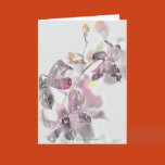 flower greeting cards, dendrobium, orchids,