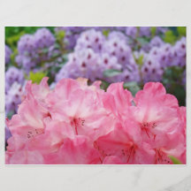 Custom Flyers create Pink Rhodies Floral Flowers