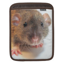 Custom Granite Rat ipad sleeves