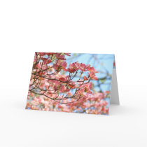 Custom Greeting Cards Pink Dogwood Flowers Floral