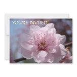 Custom Invitations You're Invited! Pink Blossoms