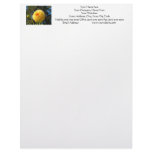 Custom Letterhead Orange Dahlia Flower