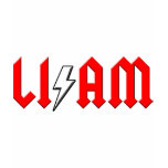 custom LIAM rock and roll shirt