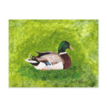 Custom Mallard Postcards