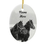 Custom Name Horse Photo Christmas Keepsake Christmas Ornament