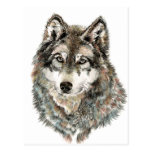Custom Name or Text Wolf watercolor Animal Postcard