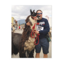 Custom Pack Llama Postcard