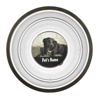 Custom Personalized Name Color Photo Pet Bowl