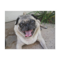 Custom Personalized Photo Postcard