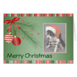 Custom Pet Christmas cards