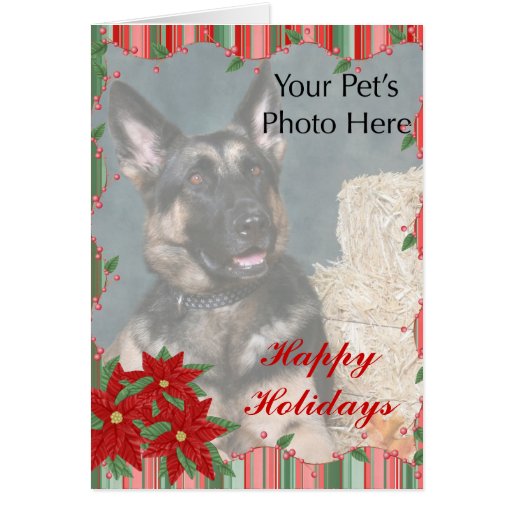 Custom Pet Christmas cards | Zazzle
