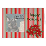 Custom Pet Christmas cards