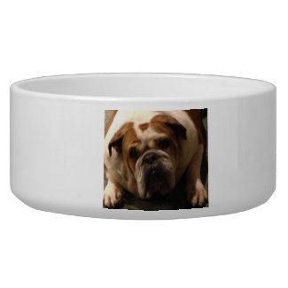 personalized dog WATER BOWLS