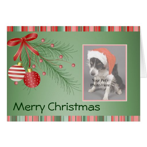 Custom Pet Photo Christmas cards | Zazzle